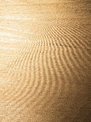 MAR DOURADO2