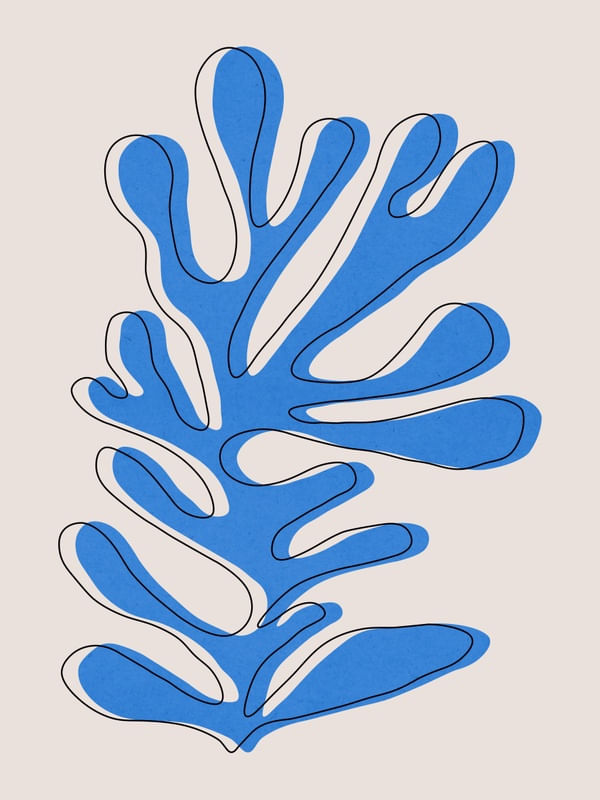 FLORAL ORGÂNICO 01