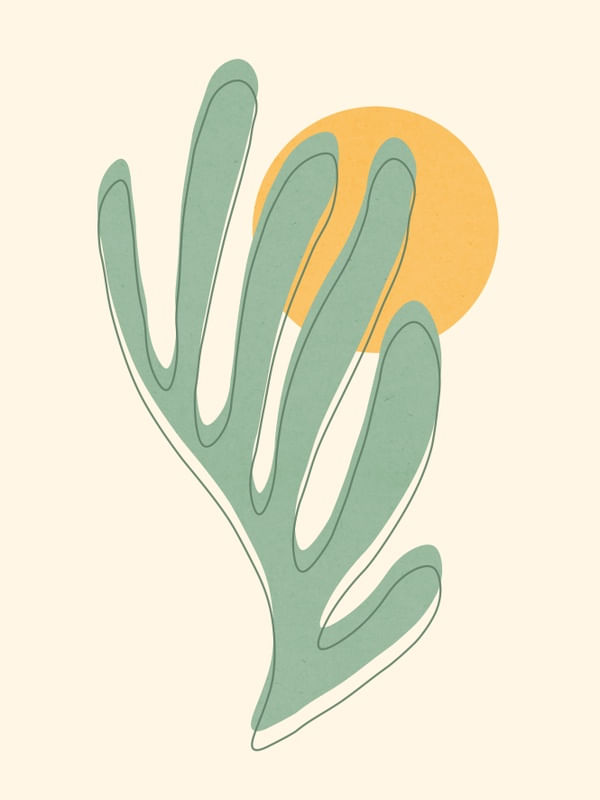 FLORAL ORGÂNICO 05
