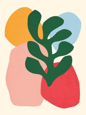 FLORAL ORGÂNICO 07