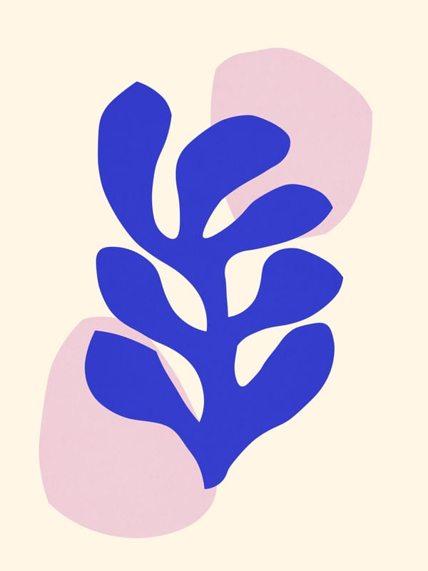 FLORAL ORGÂNICO 08