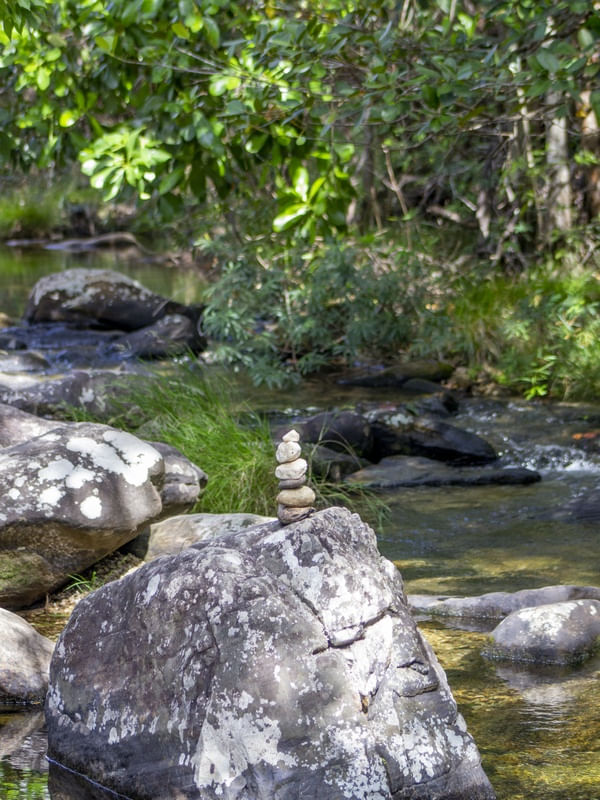 NATUREZA TOTEM