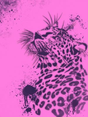 ONÇA PINTADA STREET PINK