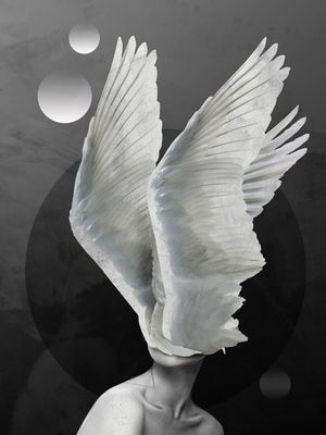 ANGEL DS 00