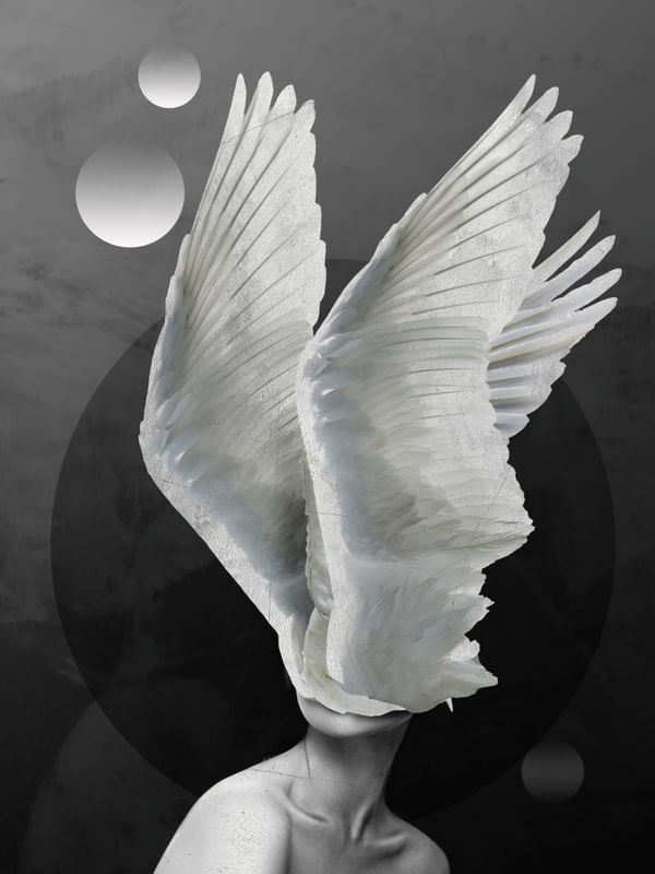 ANGEL DS 00