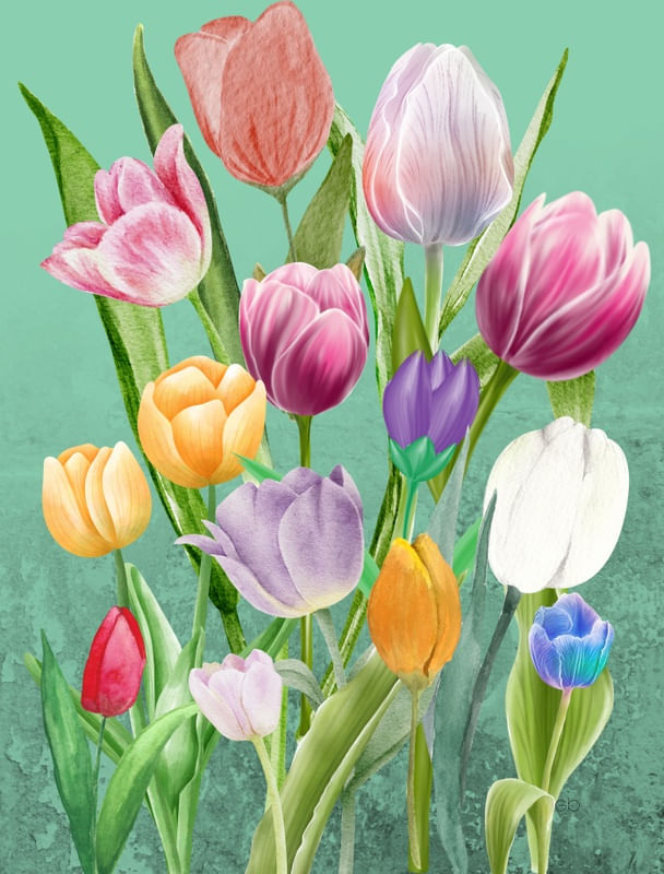 TEXTURA DE TULIPAS