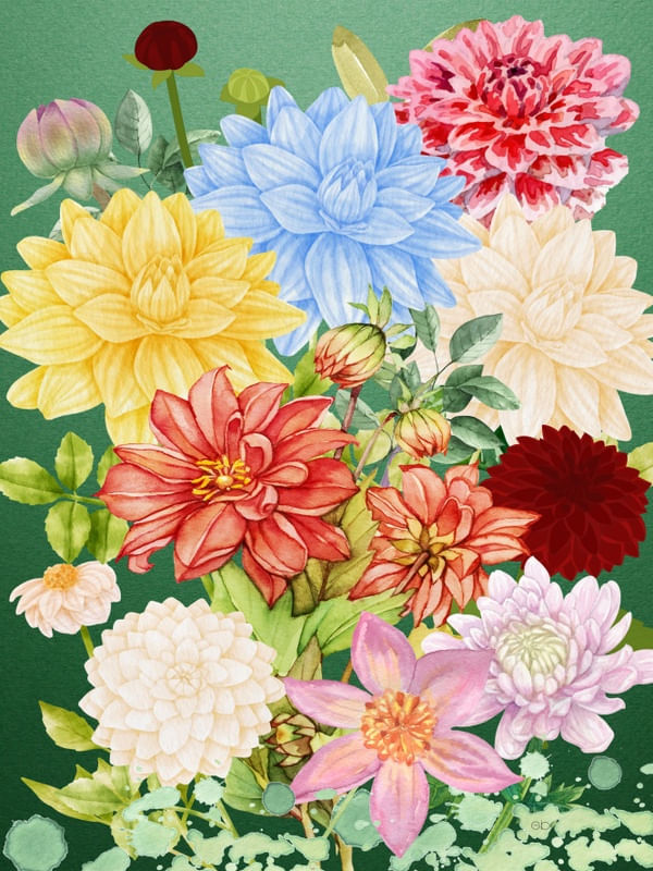TEXTURA DE DALIAS