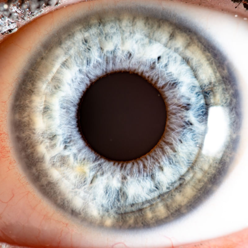 EYE SEE YOU II