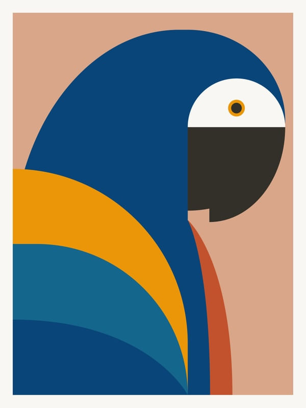ARARA BLUE