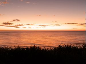 AMANHECER NO MAR COM SILHUETA DE VEGETAÇÃO