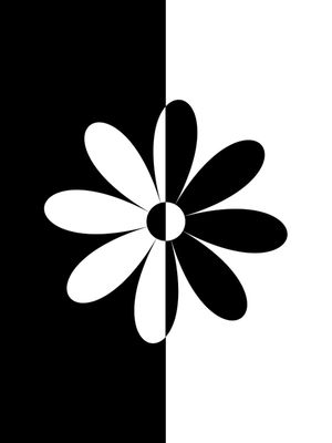 SIMPLESMENTE FLOR