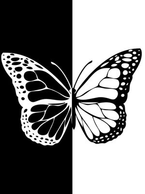 BORBOLETA EM PRETO E BRANCO