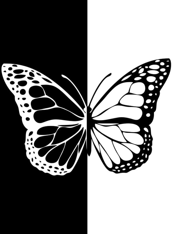 BORBOLETA EM PRETO E BRANCO
