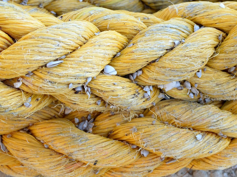 CORDA AMARELA
