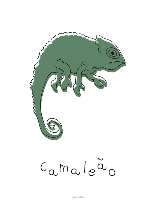 O PEQUENO CAMALEÃO