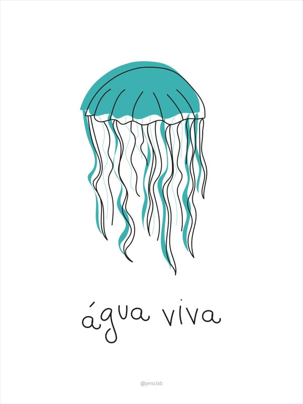 A PEQUENA ÁGUA VIVA