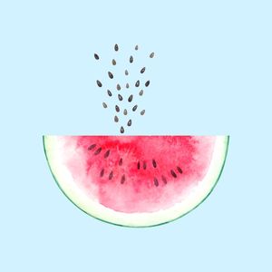 WATERMELON WHALE