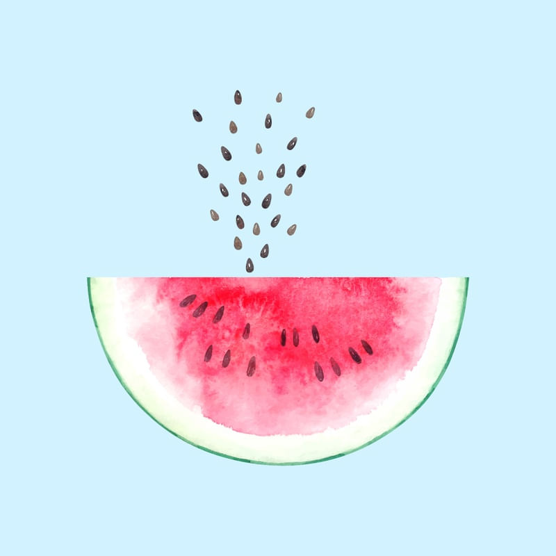 WATERMELON WHALE