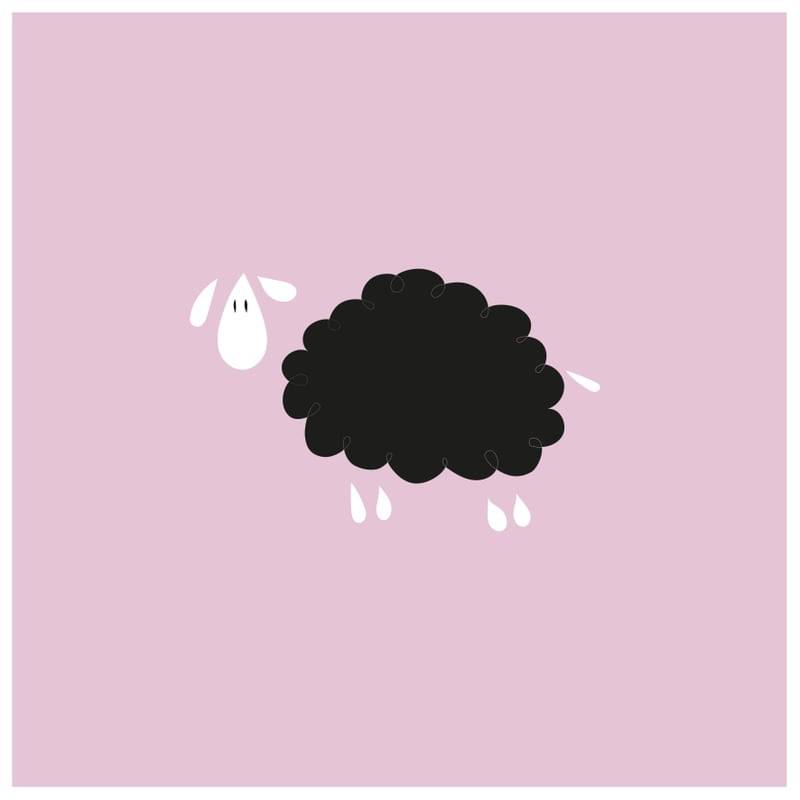 BLACK SHEEP ON PINK