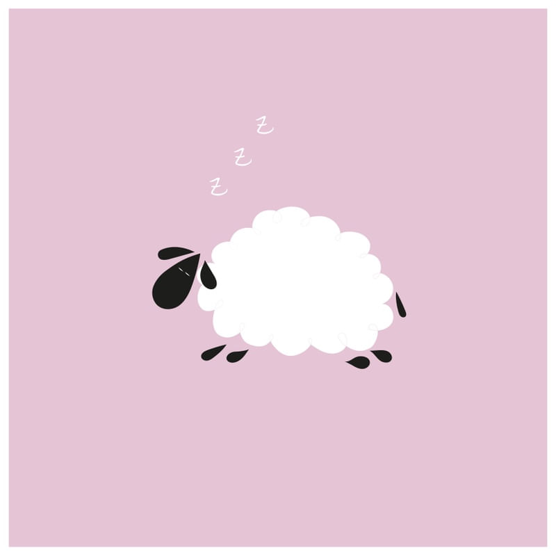 ASLEEP SHEEP ON PINK