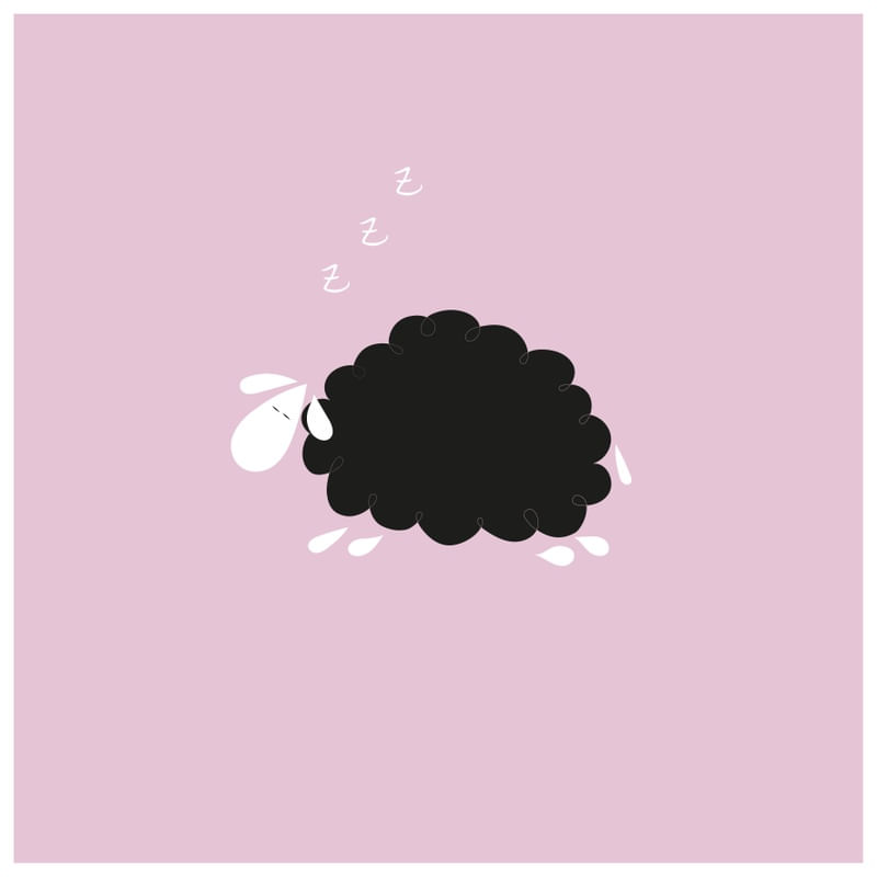ASLEEP BLACK SHEEP ON PINK