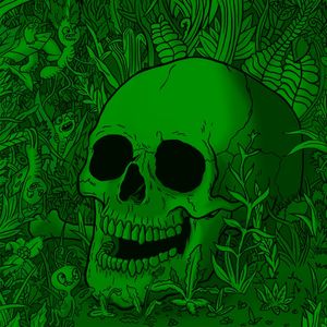 CAVEIRA E A NATUREZA