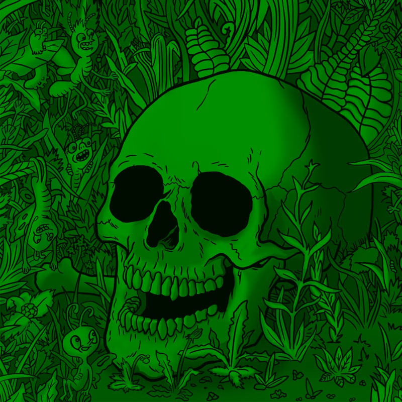 CAVEIRA E A NATUREZA