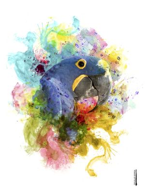 ARARA AZUL - AQUARELA