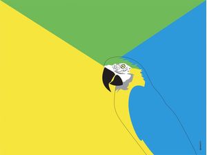 ARARA CANINDÉ MINIMALISMO