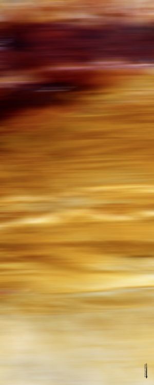 MOTION V