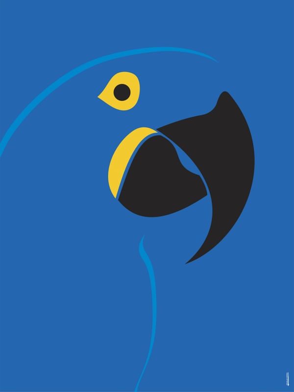 ARARA AZUL MINIMALISMO