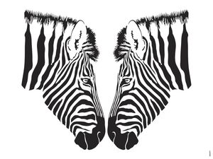 ZEBRAS - MINIMALISMO