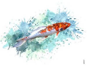 CARPA - AQUARELA