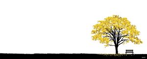 IPÊ AMARELO
