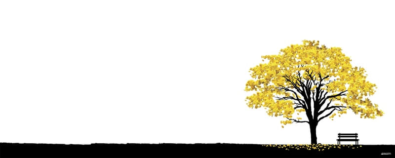 IPÊ AMARELO