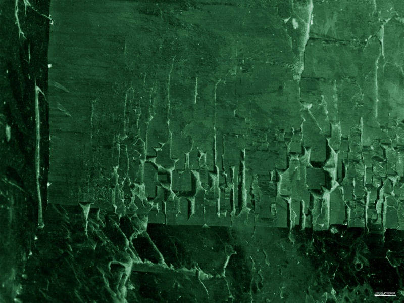GREEN BACKGROUND III