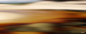 MOTION XIV