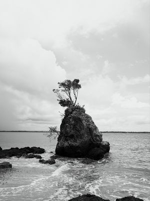 ILHA MÁGICA
