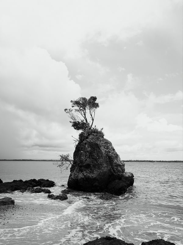 ILHA MÁGICA