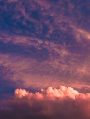 LETTERS FROM THE SKY