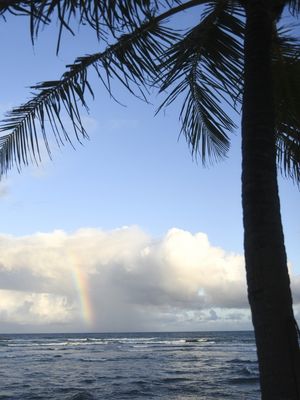 COQUEIRO NO MAR ARCOIRES