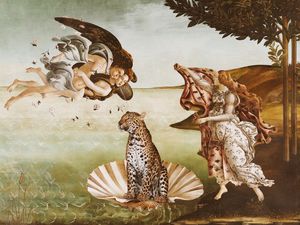 THE BIRTH OF CAT BY TAS