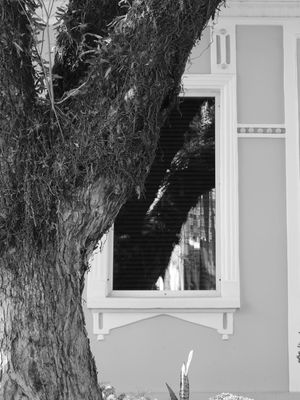 ARQUITETURA SIMPLES POR LUISAFORNASARI