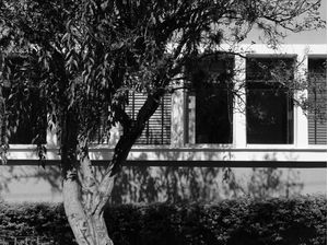 ARQUITETURA POR LUISAALESSANDRAFORNASARI