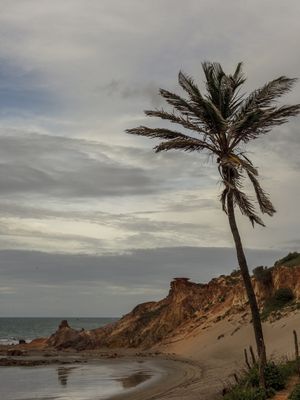 COQUEIRO-PRAIA-PEROBA
