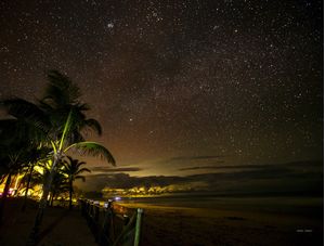 MUITAS ESTRELAS E COQUEIRO EM PRAIA DE TAIPU DE FORA