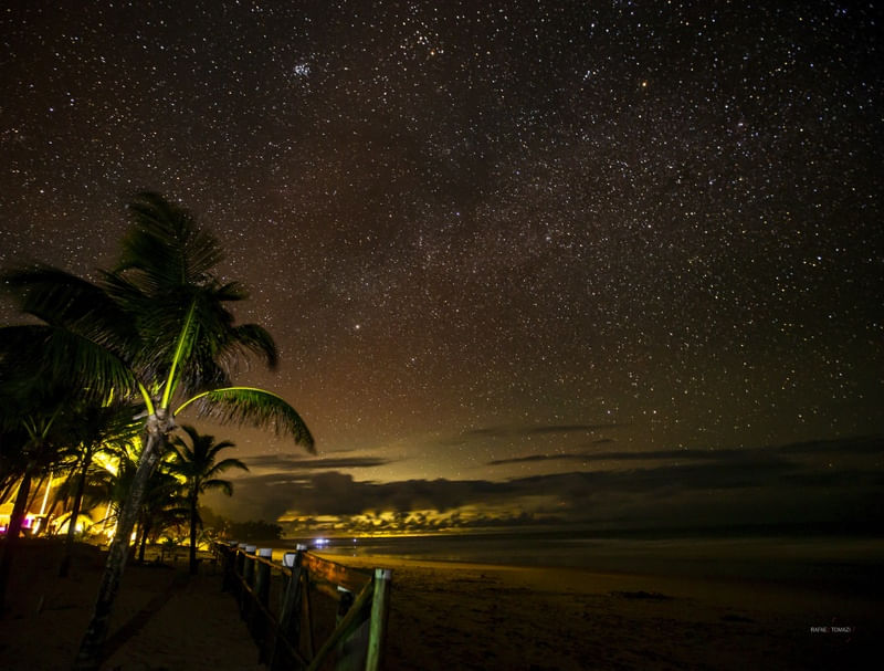 MUITAS ESTRELAS E COQUEIRO EM PRAIA DE TAIPU DE FORA