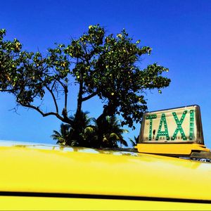 BIG YELLOW TAXI