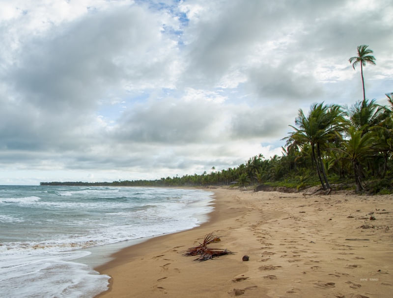 PANORÂMICA EM PRAIA DE TAIPU DE FORA