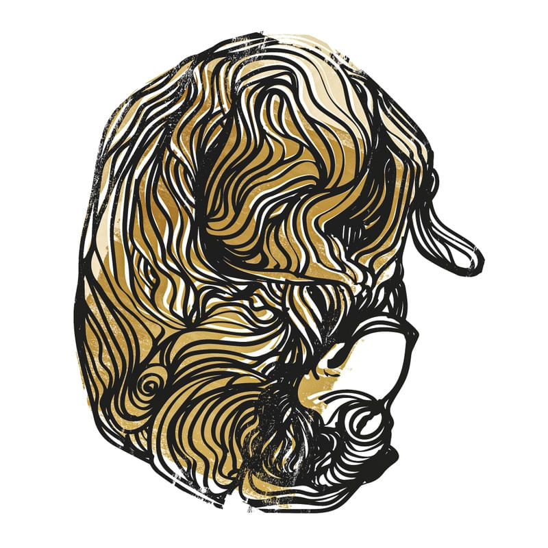 SLEEPING DOG